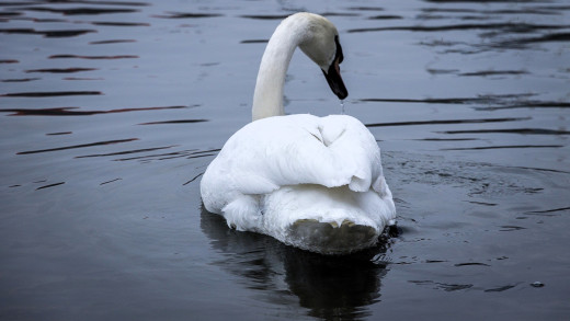 1755426 (a): :1920x1080